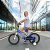A16114 Kids Bike 16 inch for Boys & Girls with Training Wheels, Freestyle Kids' Bicycle with fender.